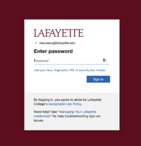 Screenshot of the Microsoft sign in window asking for password